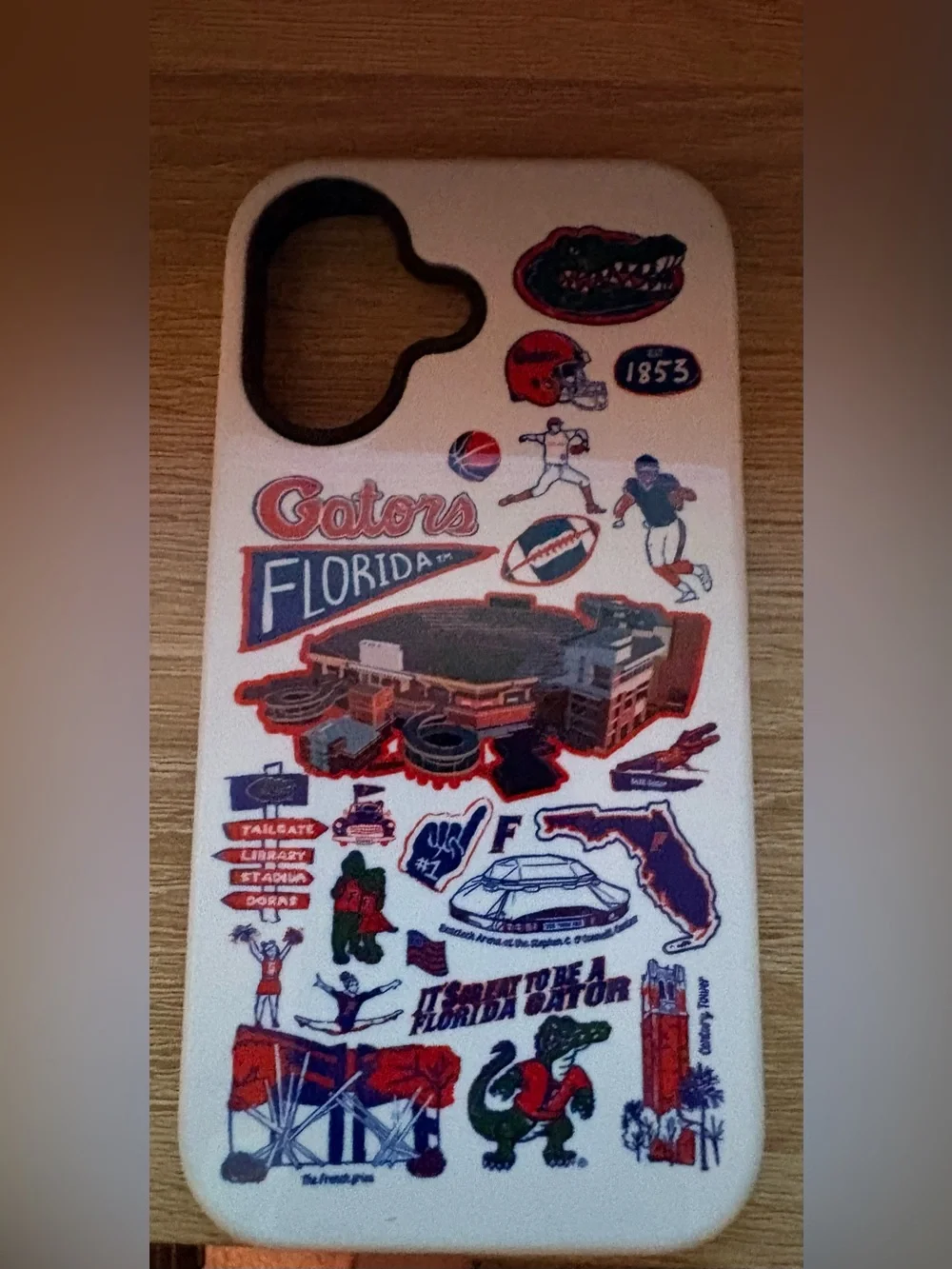 Florida Gators IPhone 16 Case